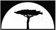 Africa University logo